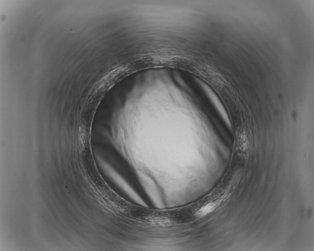 X0000087690648200705181756