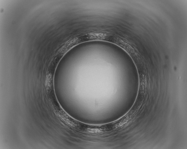 X0000087690649200705181756