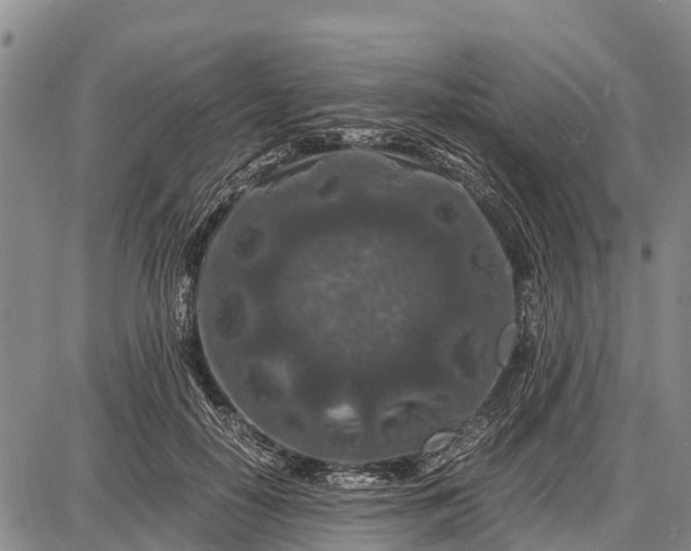 X0000087690650200705181756