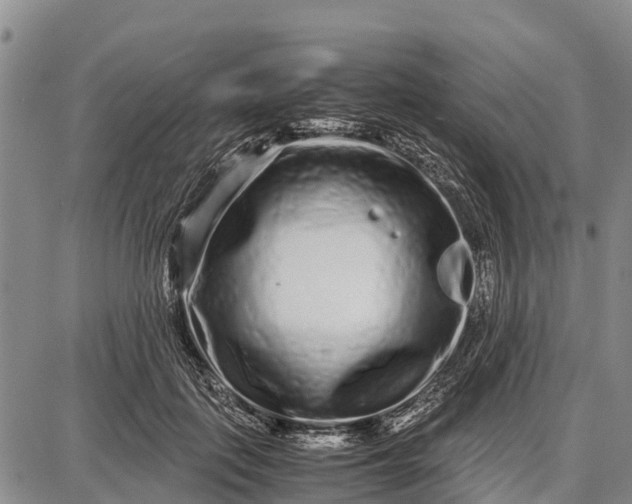 X0000087690651200705181756