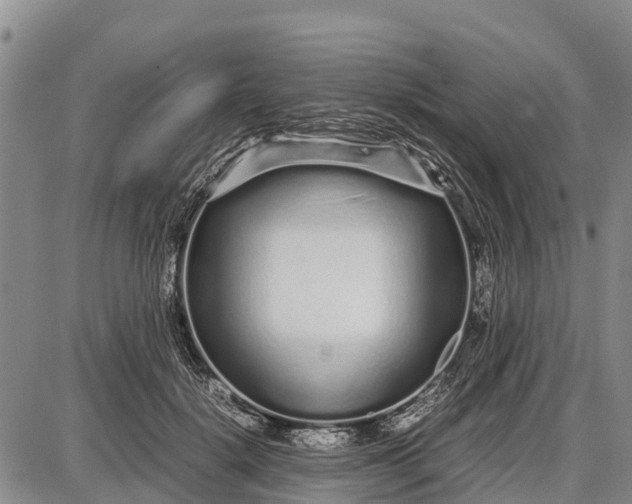 X0000087690652200705181756