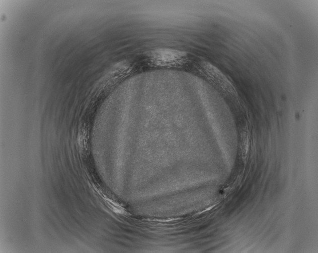 X0000087690653200705181756