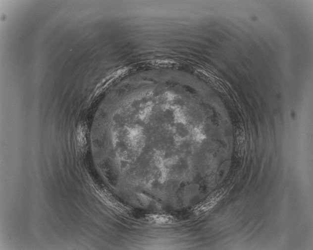 X0000087690654200705181756