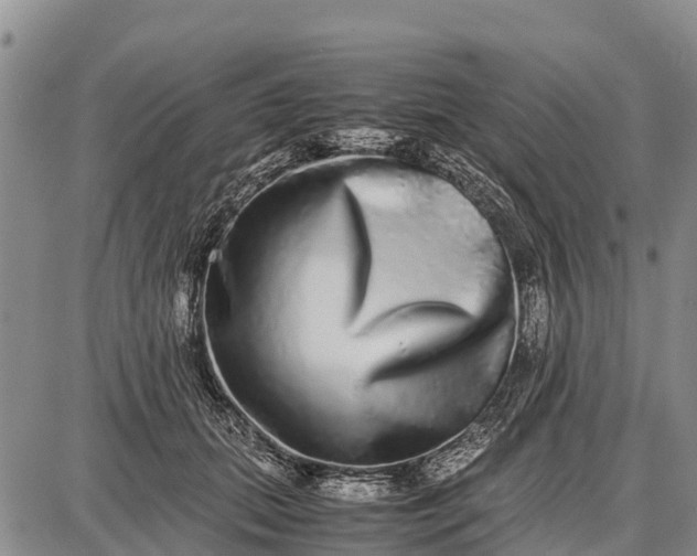 X0000087690655200705181756