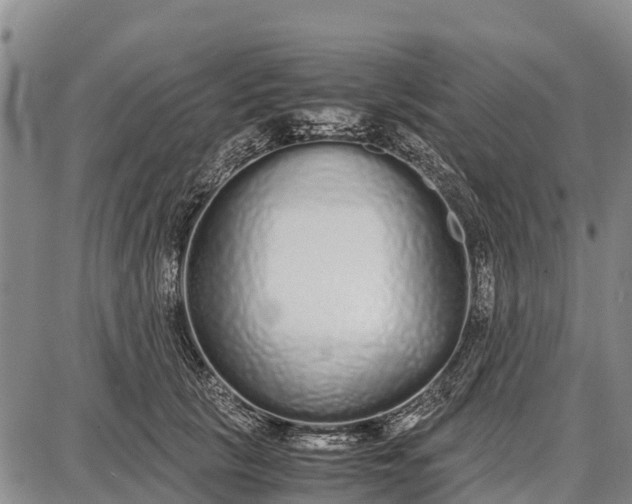 X0000087690657200705181756