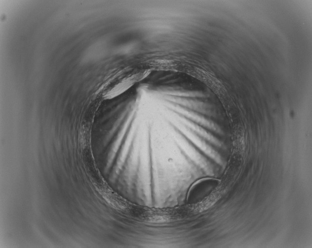 X0000087690658200705181756