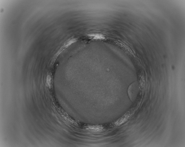 X0000087690659200705181756