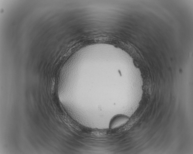 X0000087690660200705181756