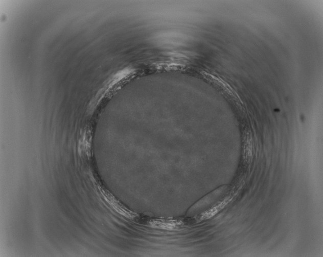 X0000087690661200705181756