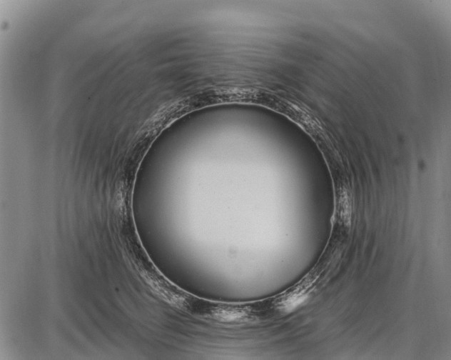 X0000087690662200705181756