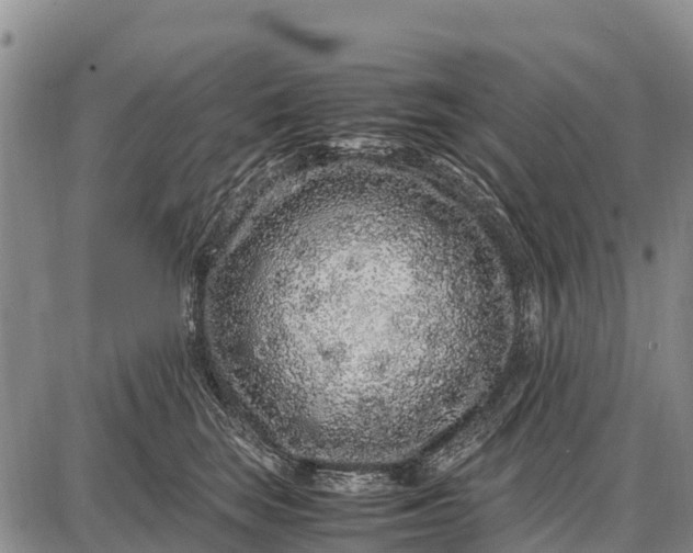 X0000087690663200705181756