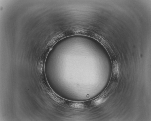 X0000087690664200705181756