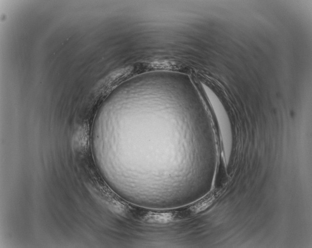 X0000087690665200705181756