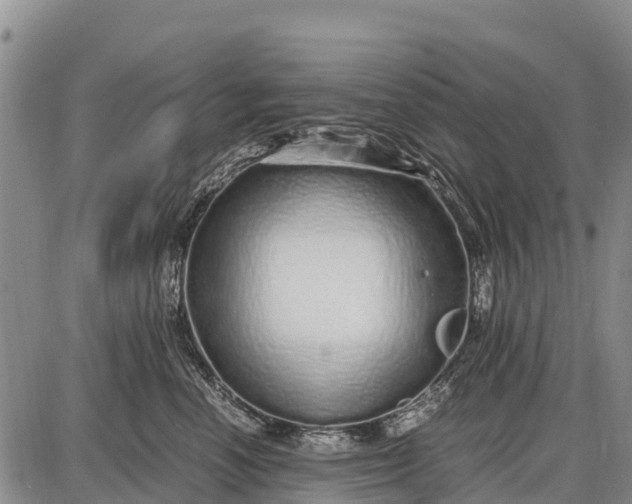 X0000087690666200705181756