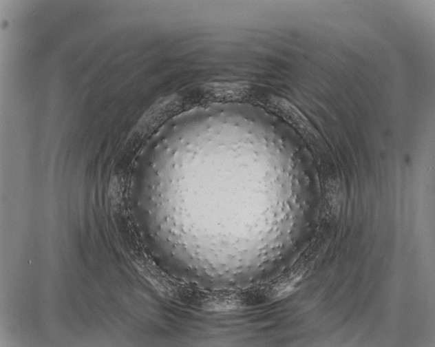 X0000087690667200705181756