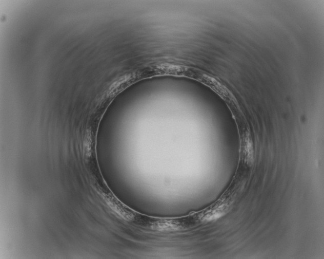 X0000087690668200705181756