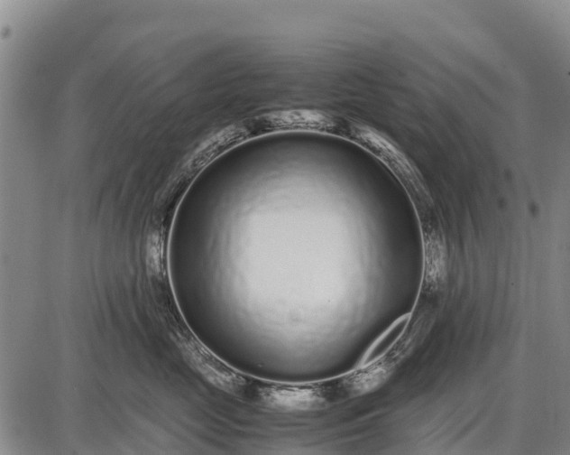 X0000087690669200705181756