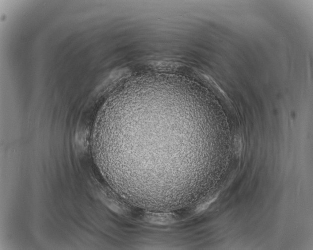 X0000087690671200705181756