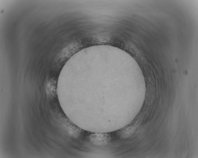 X0000087690672200705181756