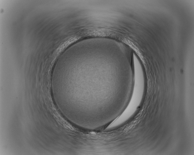 X0000087690673200705181755