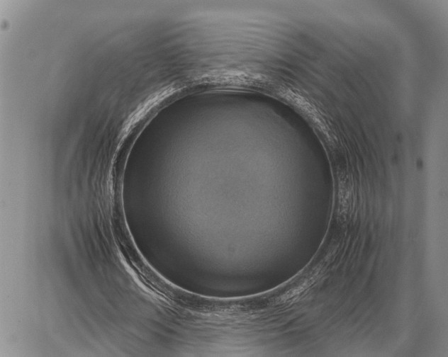 X0000087690674200705181755