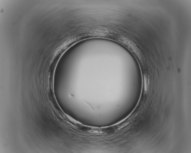 X0000087690675200705181755