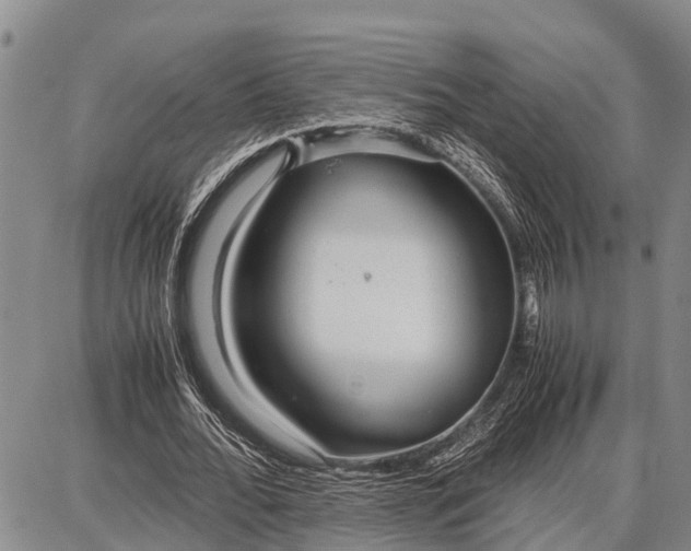 X0000087690676200705181755