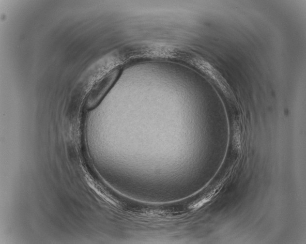 X0000087690677200705181755