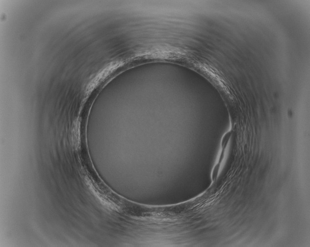 X0000087690678200705181755