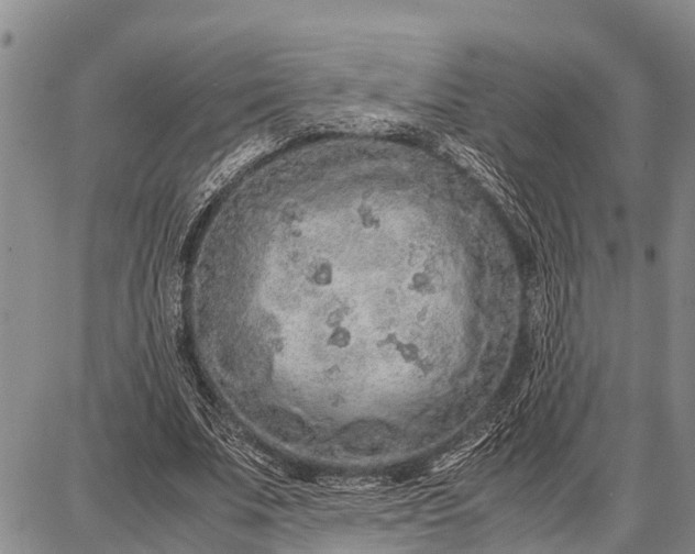 X0000087690679200705181755