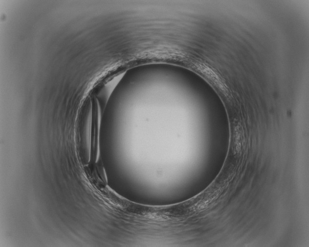 X0000087690680200705181755