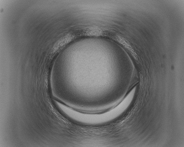 X0000087690681200705181755