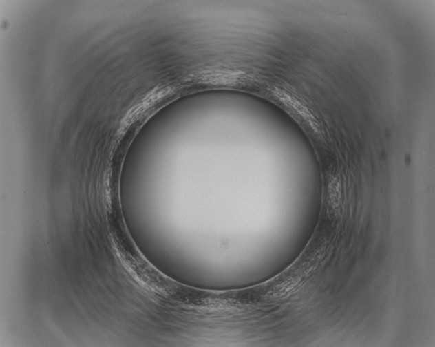 X0000087690682200705181755