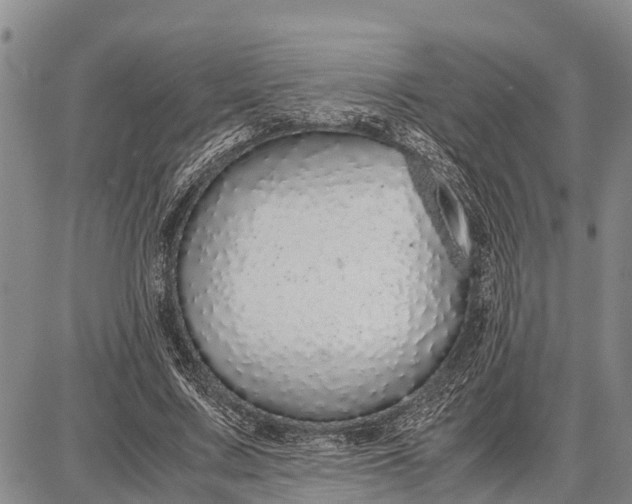 X0000087690683200705181755