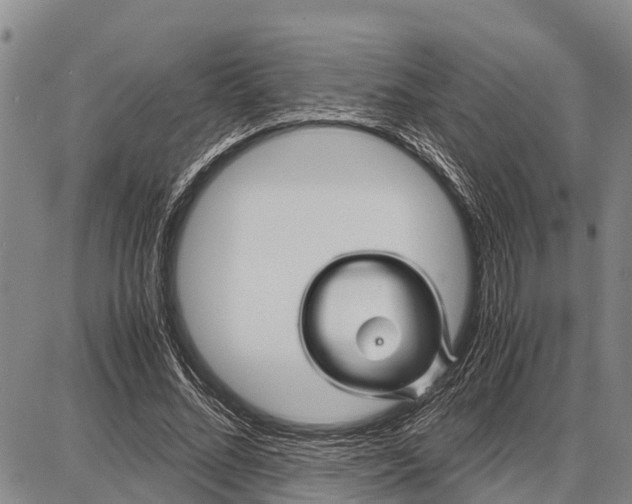 X0000087690684200705181755