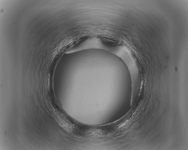 X0000087690685200705181755