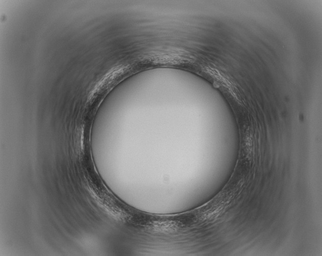 X0000087690686200705181755