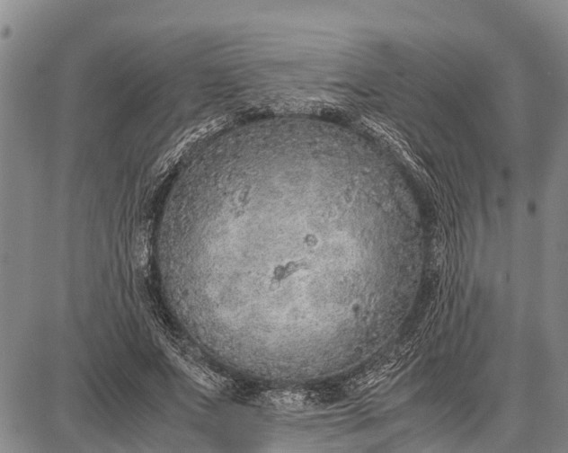 X0000087690687200705181755