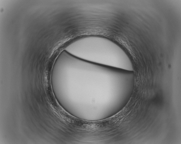 X0000087690688200705181755