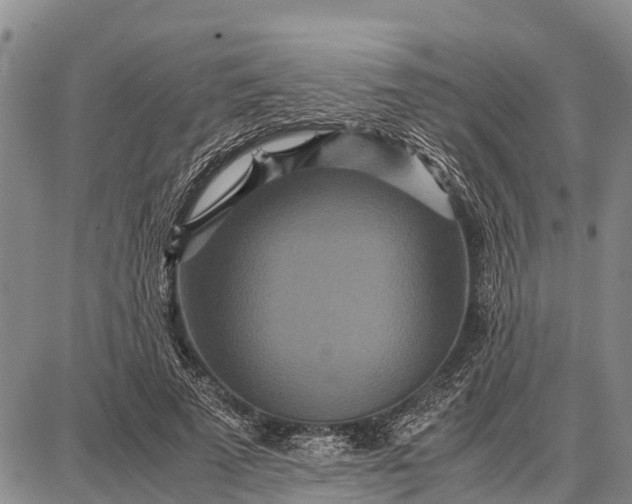 X0000087690689200705181755