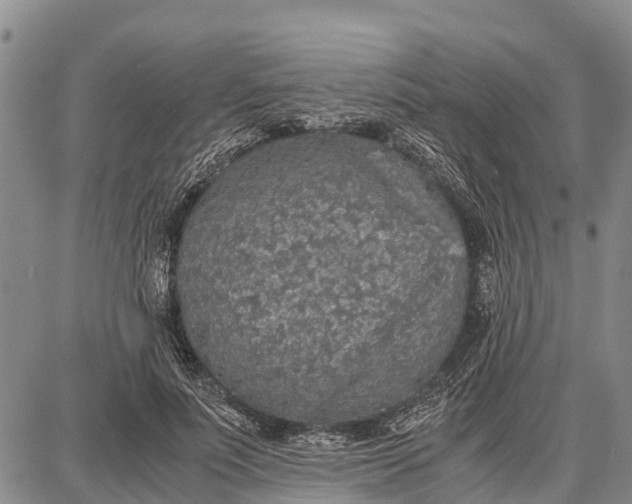 X0000087690691200705181755