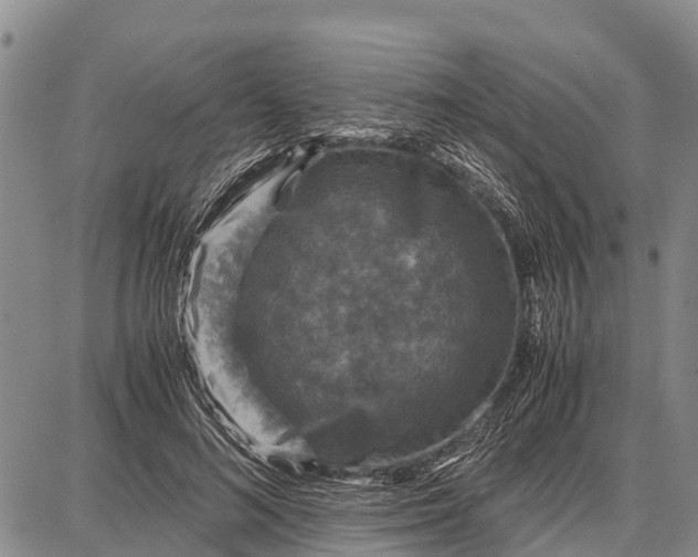 X0000087690692200705181755