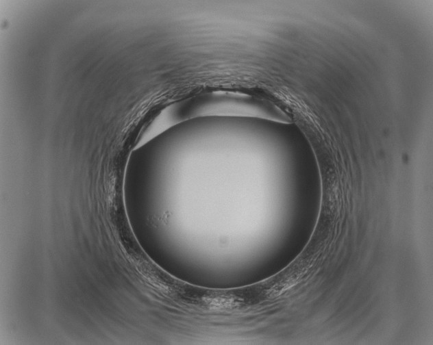 X0000087690693200705181755