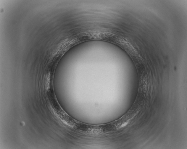 X0000087690694200705181755