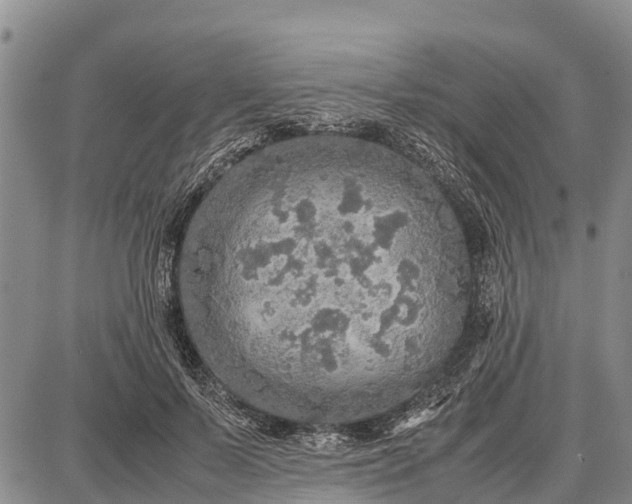 X0000087690695200705181755