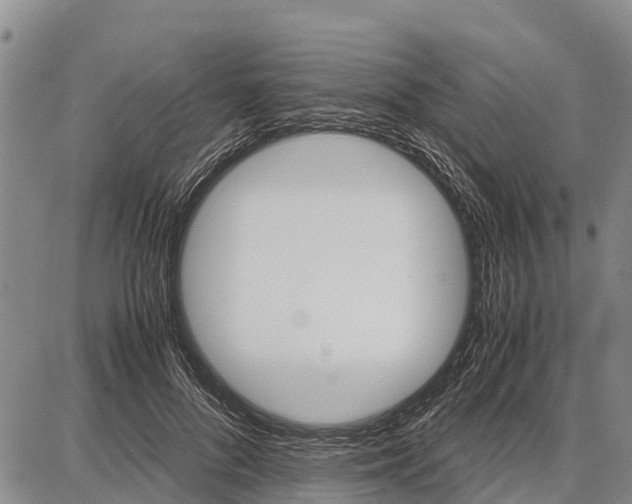 X0000087690696200705181755