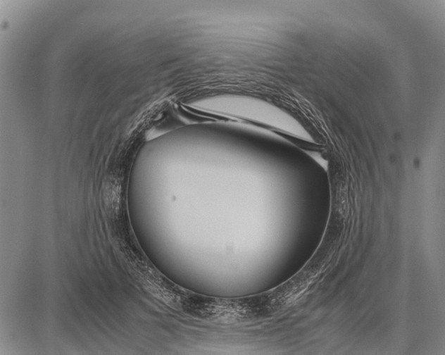 X0000087690697200705181755