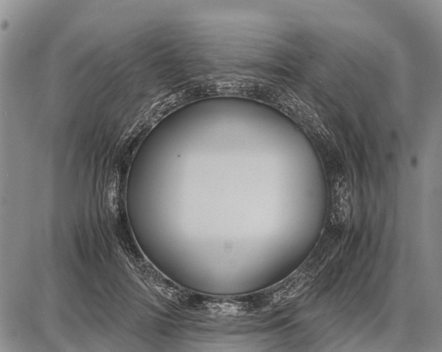 X0000087690698200705181755