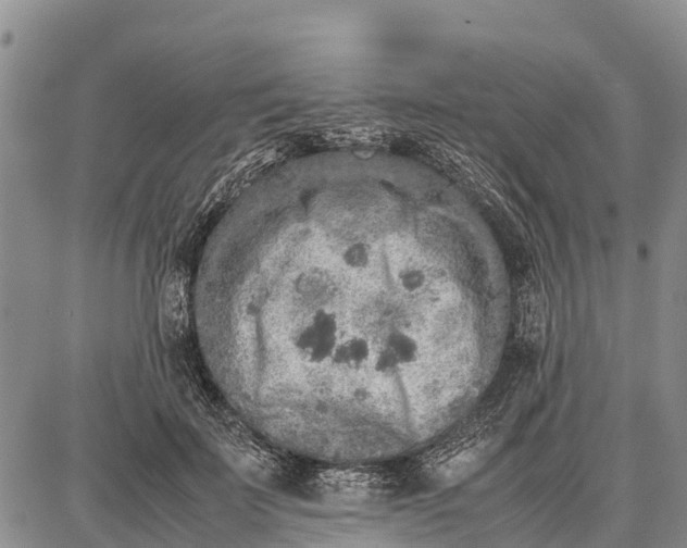 X0000087690699200705181755