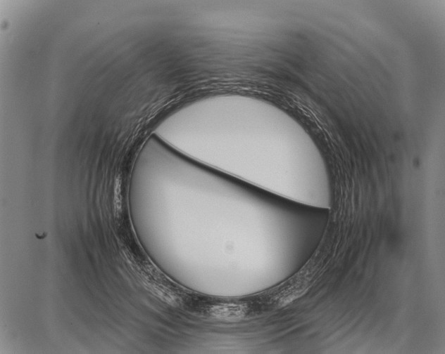 X0000087690700200705181755